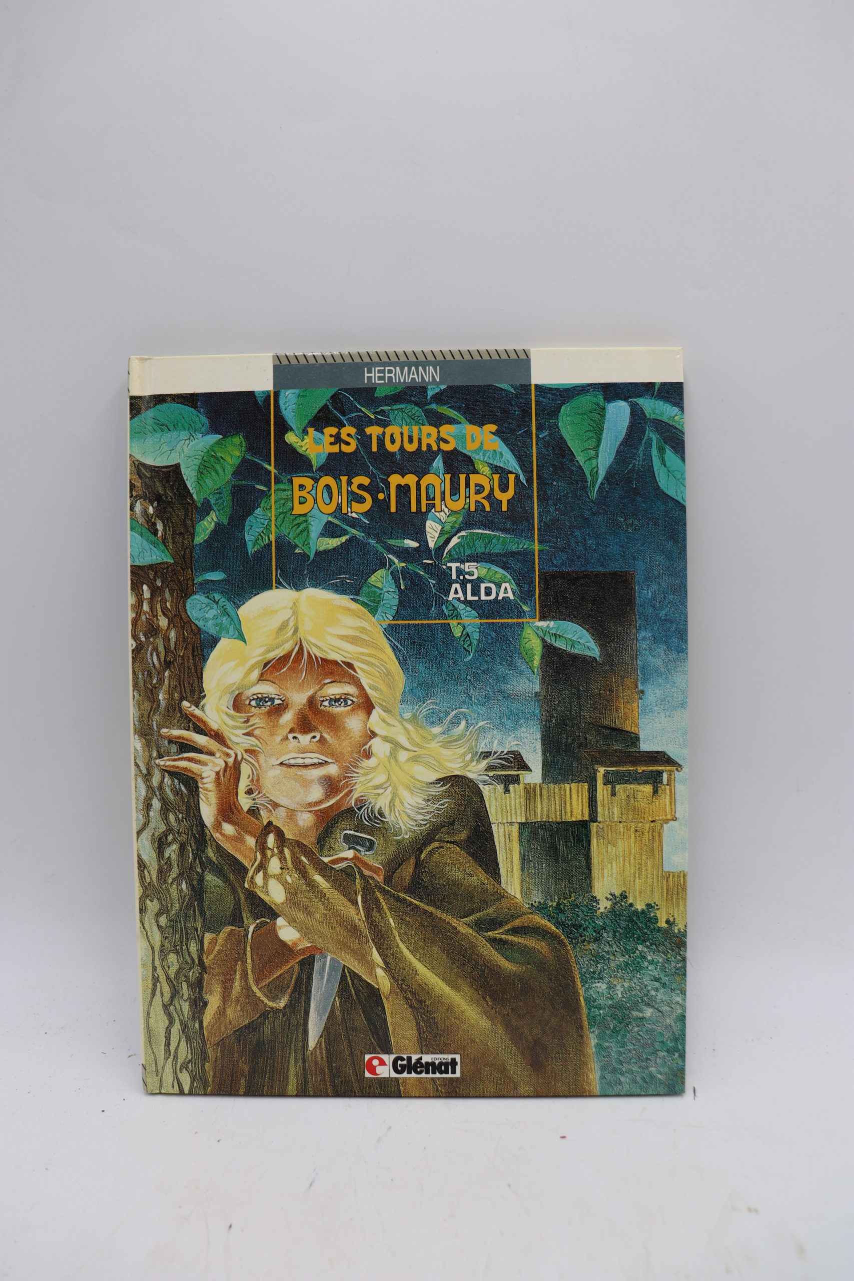 2623 BD Les tours de Bois-Maury T.5 Alda – Image 1