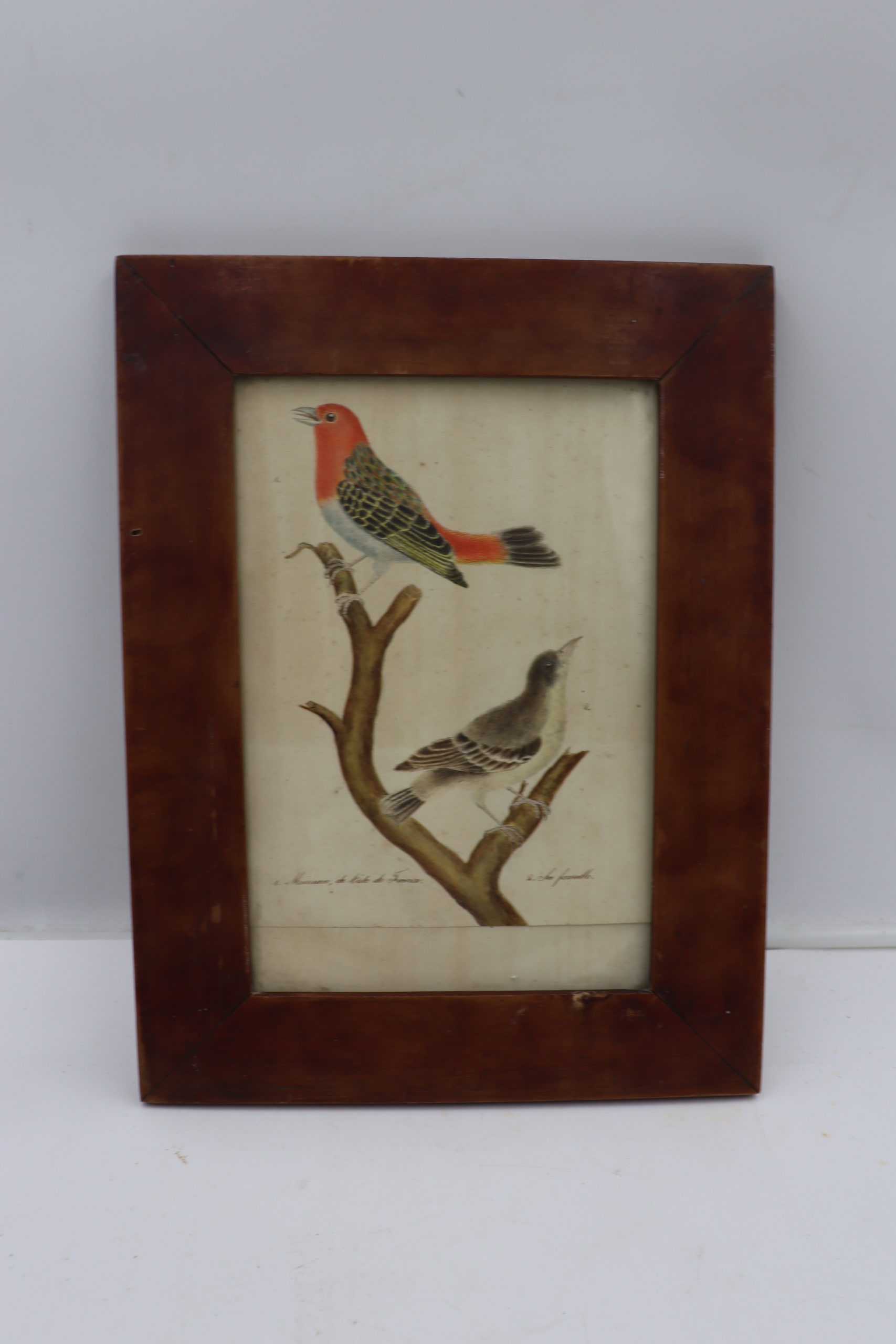 7380 Tableau oiseaux – Image 1