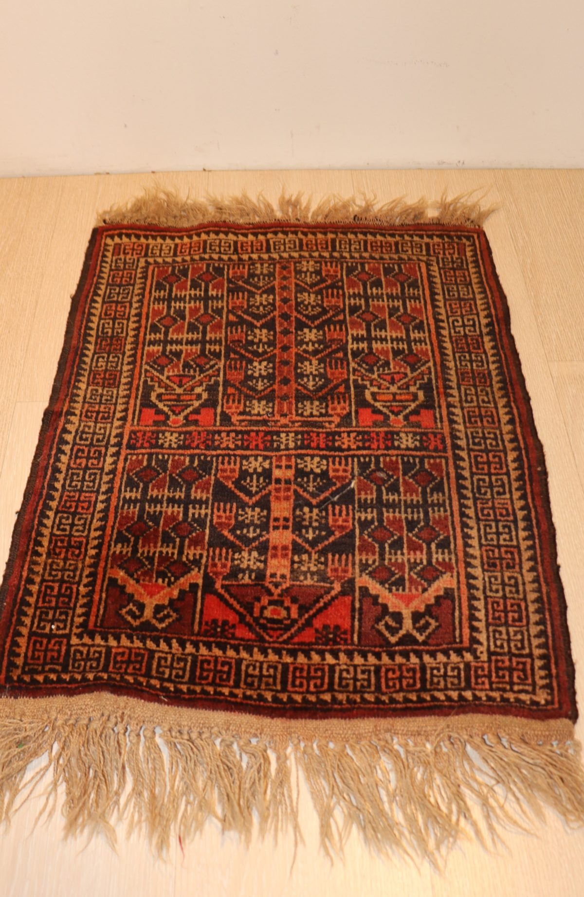 Tapis – Image 1