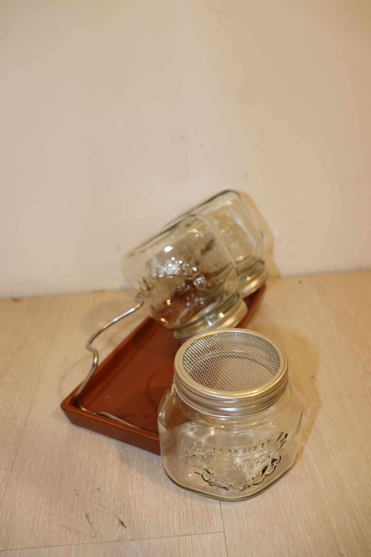 3 pots pour graines à germer – Image 1