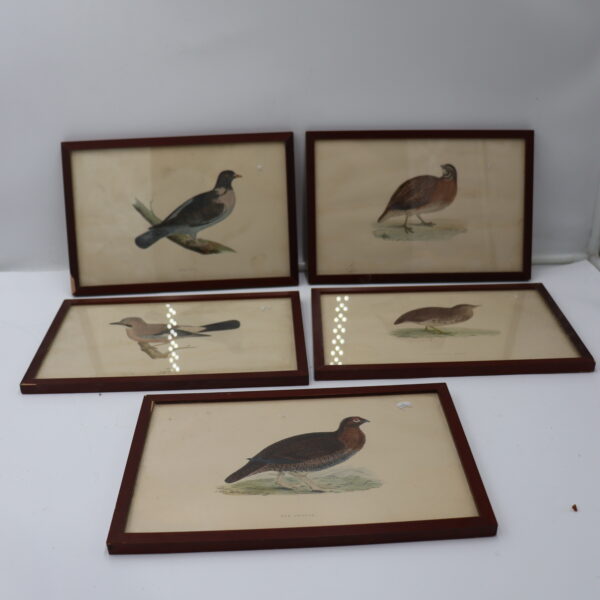 Lot de 5x tableaux "oiseaux"