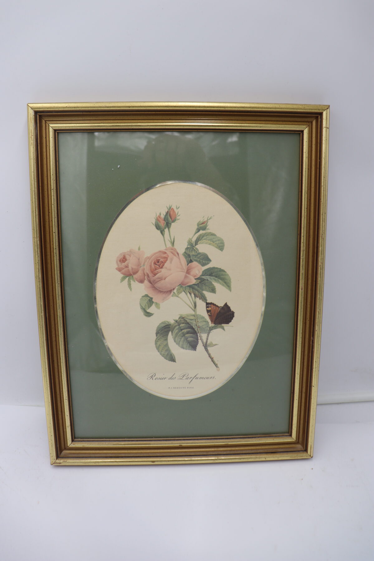 Tableaux "Rosier  des parfumeurs" – Image 1