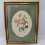 Tableaux "Rosier  des parfumeurs"