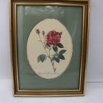 Tableaux "Rosier de Provins ordinaire"