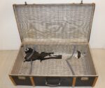 Valise vintage – Image 2