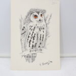 Lithographie signée G. Bressler Hibou