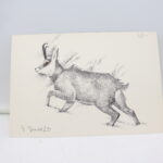 Lithographie signée G. Bressler Chamois