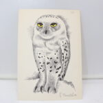 Lithographie signée G. Bressler Chouette