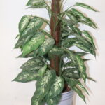 Plante artificielle