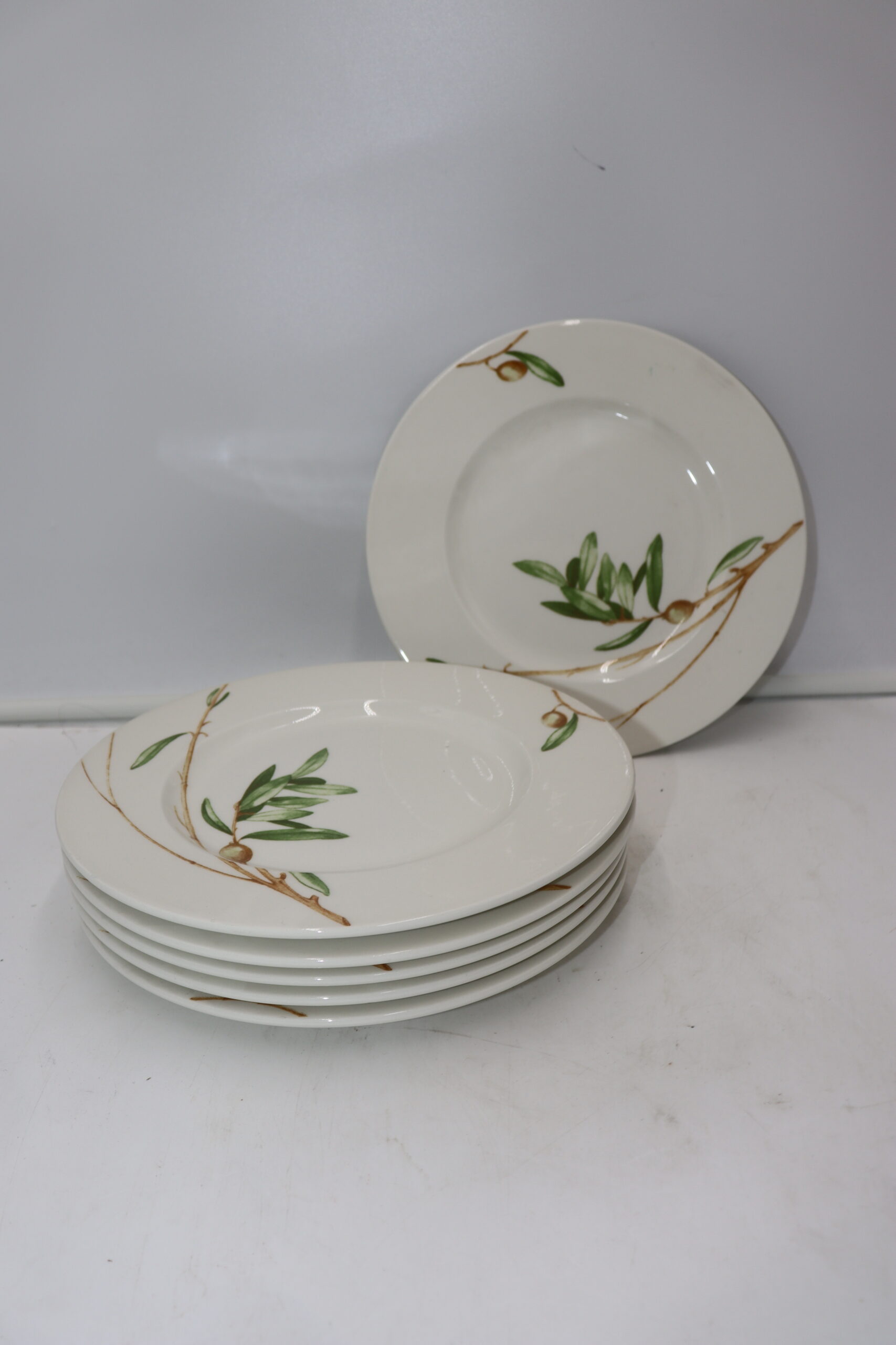 DC 301 Lot de 6x assiettes "Pagnossin" – Image 1